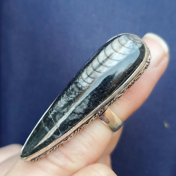 New Oversized Orthoceras Fossil 925 Silver Statement Ring. - Picture 14 of 16